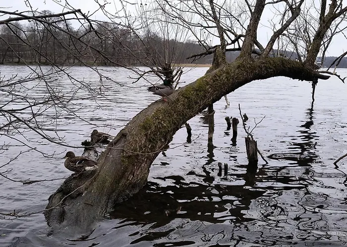 Krolewiecka 54b/26 Apartament *